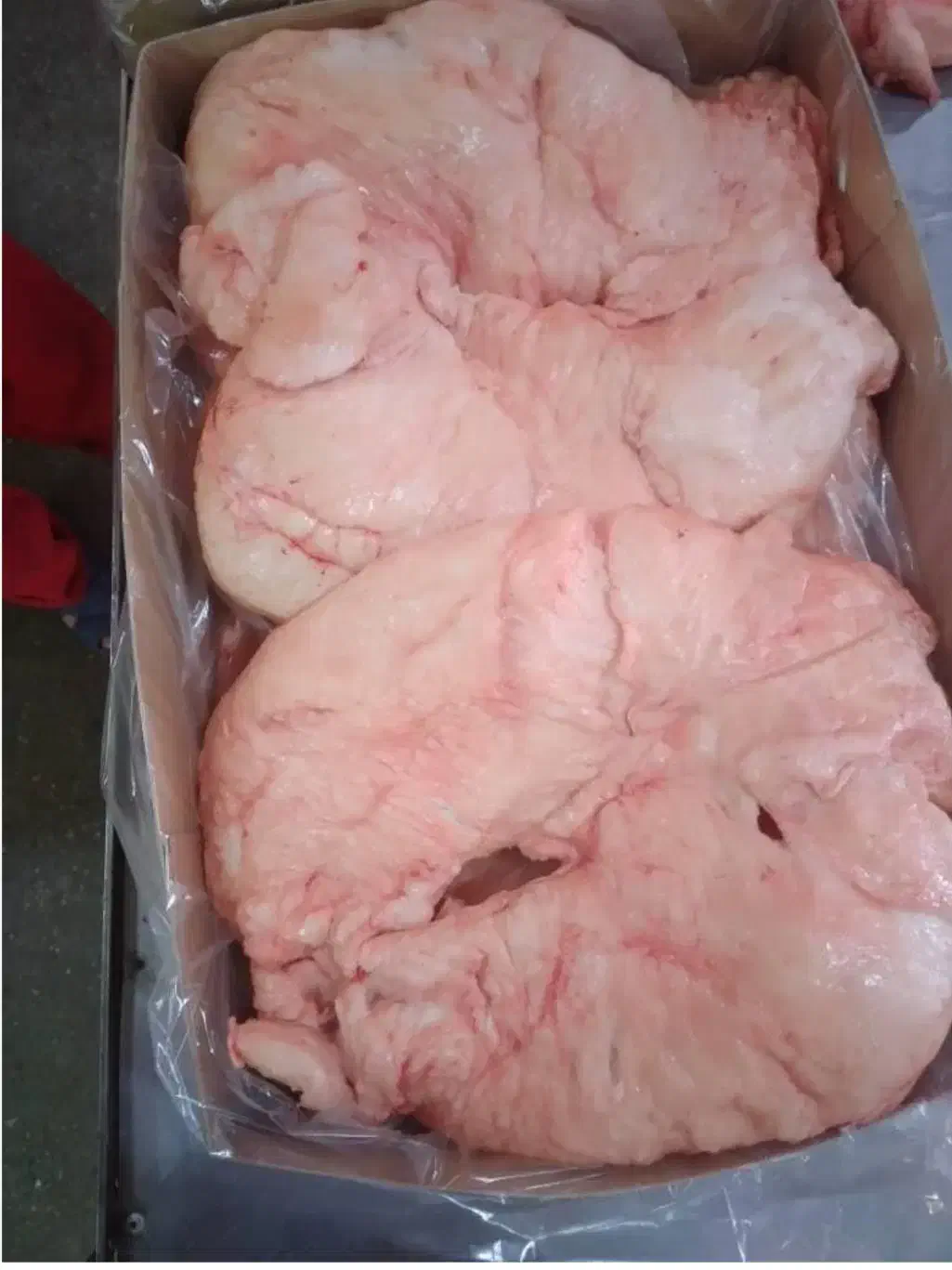 دنبه بره سفید|حراج|ساوه, |دیوار