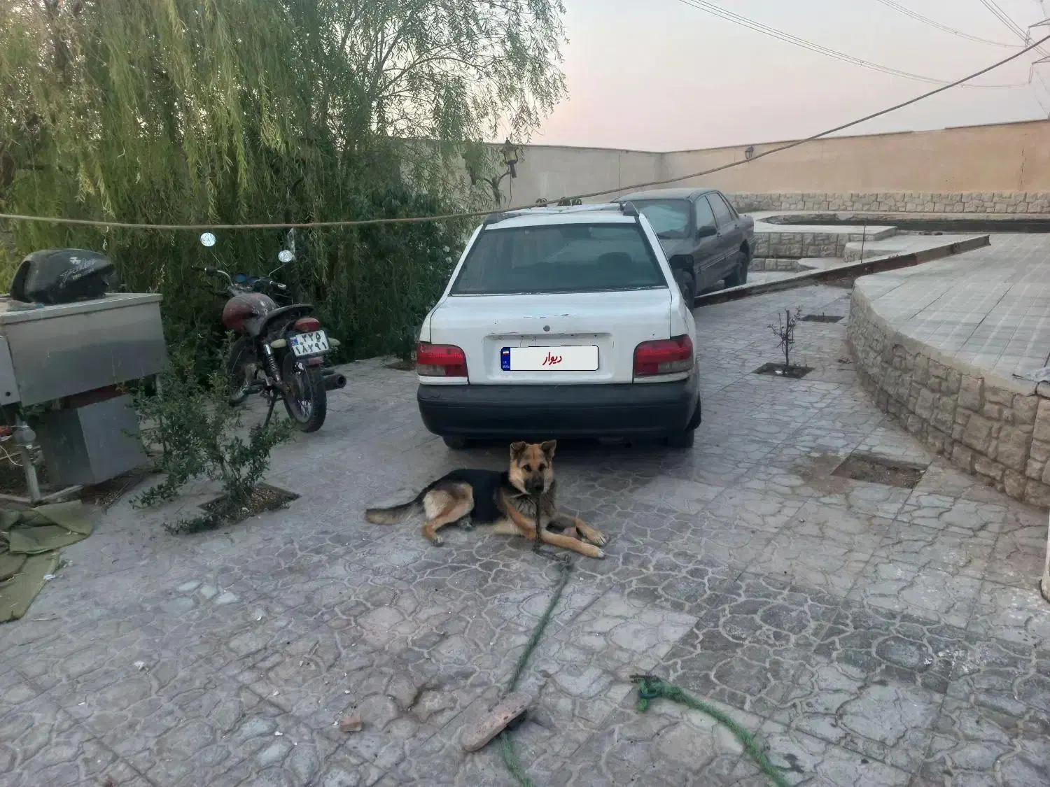 پرایددوگانه انزکتور۸۳|خودرو سواری و وانت|ماهدشت, |دیوار