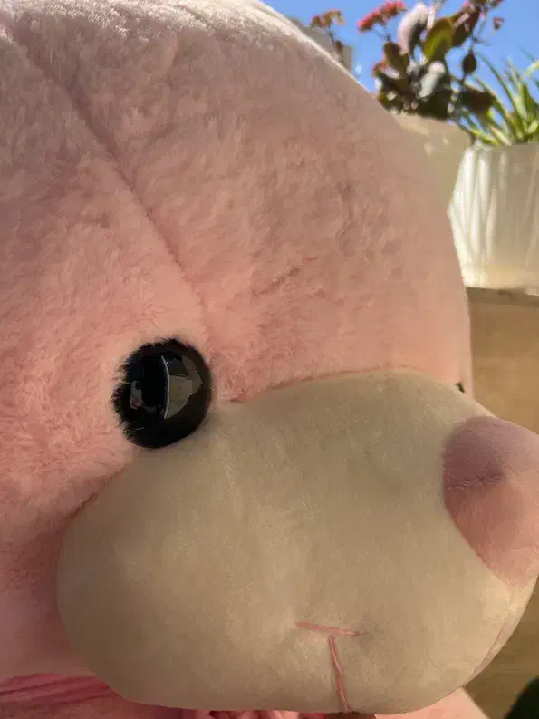 عروسک خرس|اسباببازی|تهران, خاک سفید|دیوار