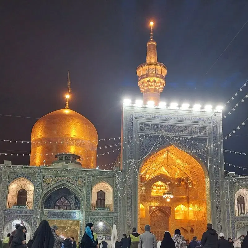 مشهد|تور و چارتر|جهرم, |دیوار