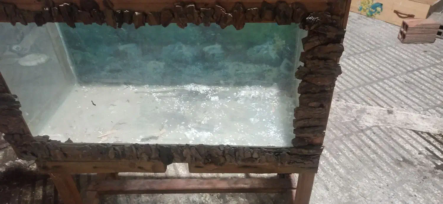 اکواریوم یک متر در یک متر کامل|ماهی|آزادشهر, |دیوار