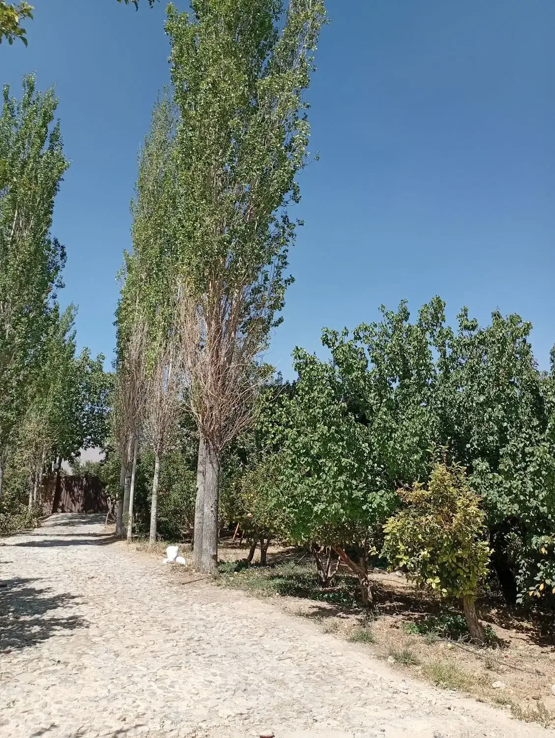جابان باغچه۳۰۰+۴۰۰+۲۰۰داخل مجموعه باانشعابات اقساط|فروش زمین و ملک کلنگی|دماوند, دماوند|دیوار