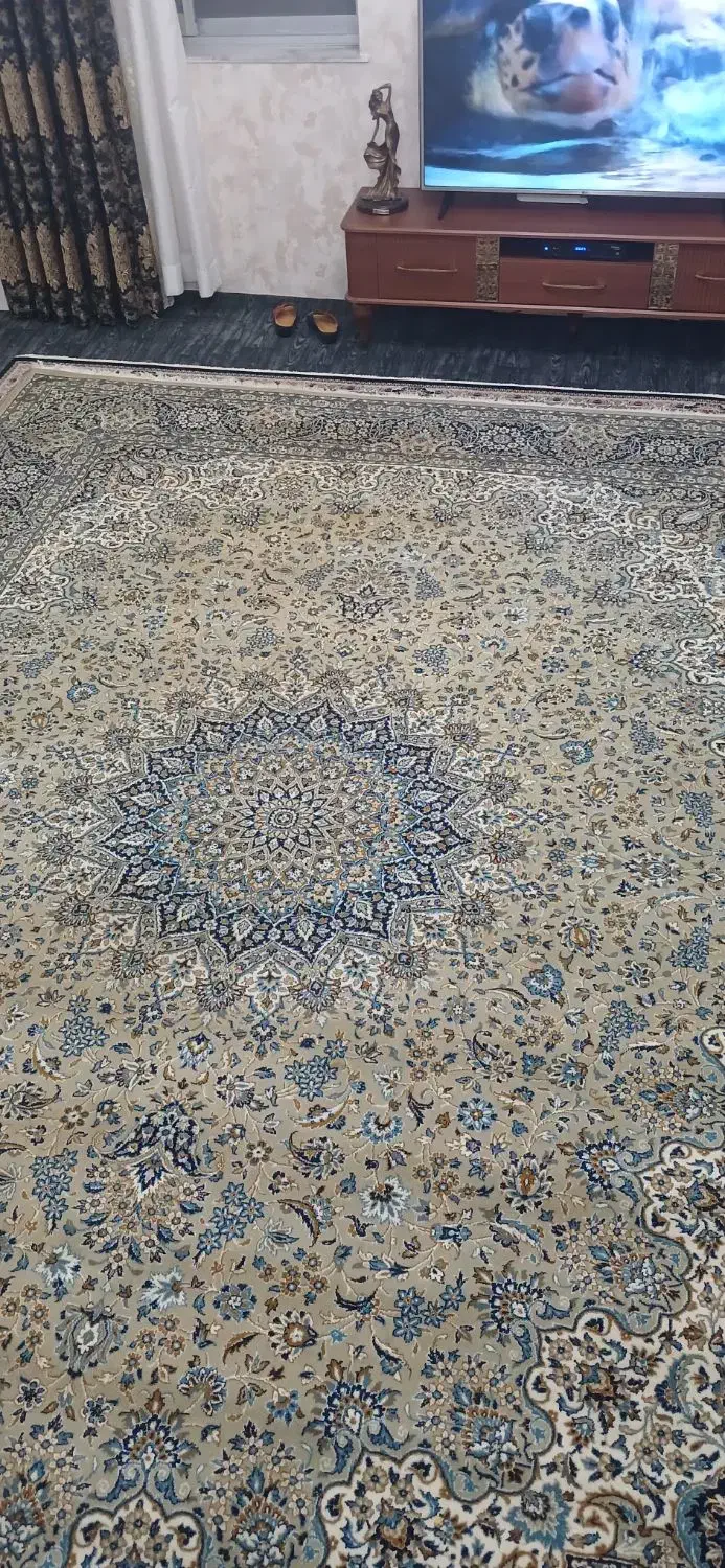 فرش ۱۲متری کاشان کارکرد|فرش|کتالم و سادات شهر, |دیوار