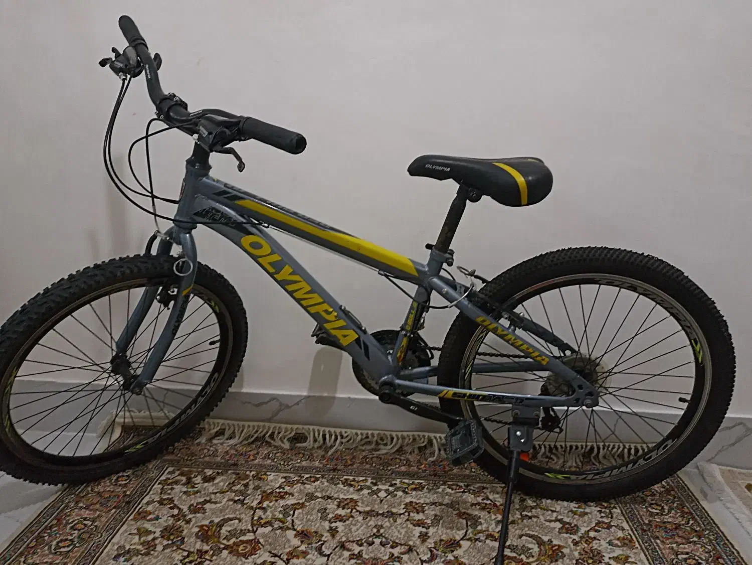 دوچرخه|دوچرخه، اسکیت، اسکوتر|مراغه, |دیوار