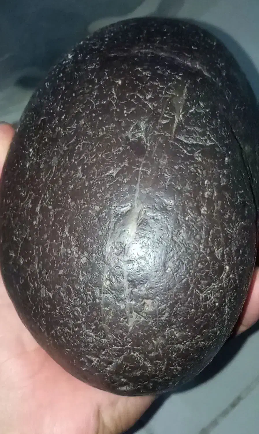 شهاب سنگ|کلکسیون اشیاء عتیقه|زیویه, |دیوار