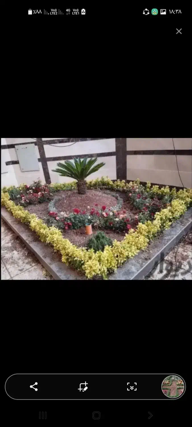 خدمات باغبانی فضای سبز|خدمات باغبانی و درختکاری|لولمان, |دیوار