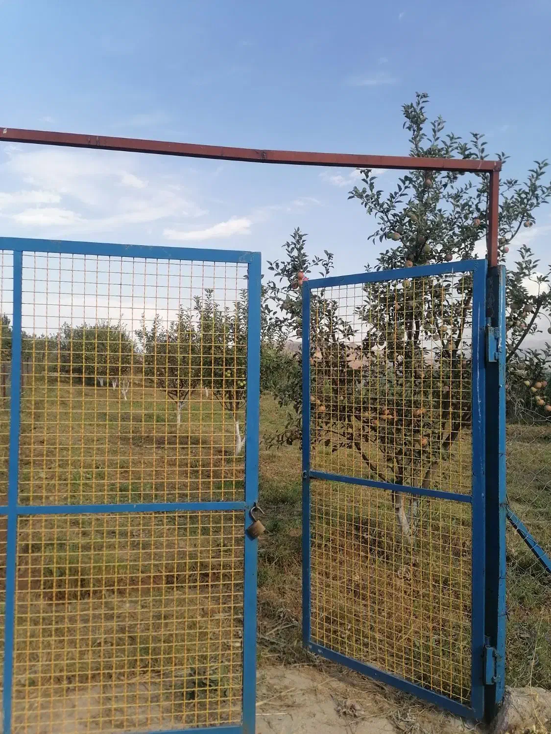 فروش باغ نقلی با صفا|فروش دفتر صنعتی، کشاورزی، تجاری|اهر, |دیوار