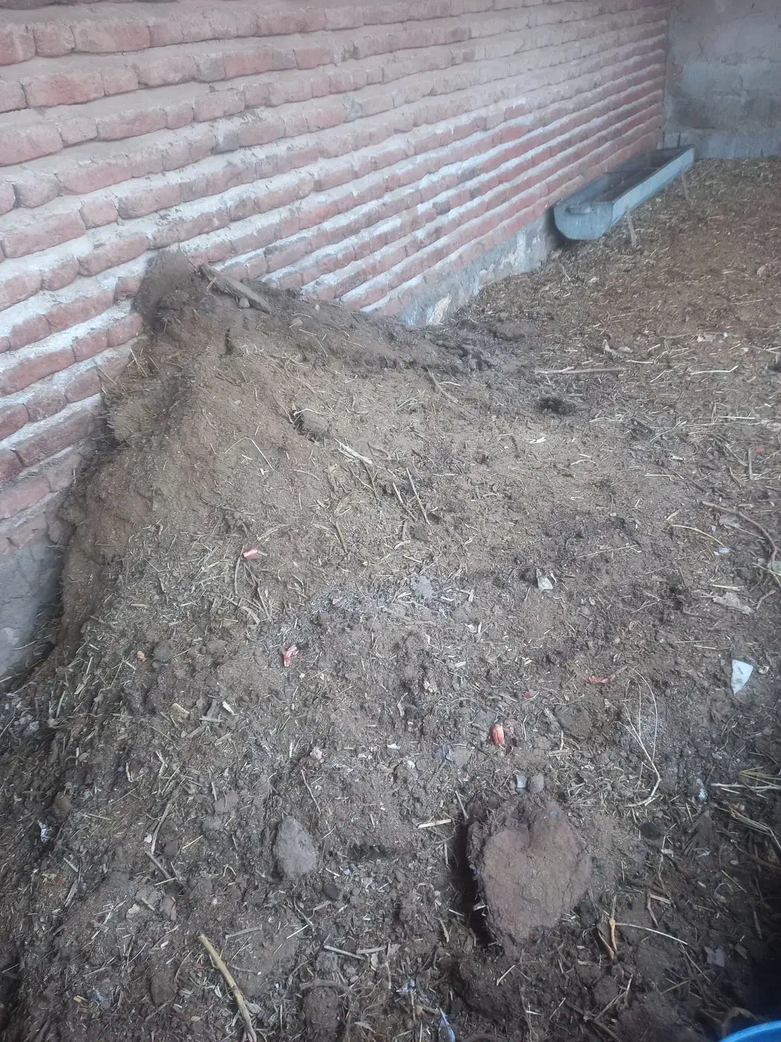 کود حیوانی|لوازم جانبی حیوانات|بناب, |دیوار