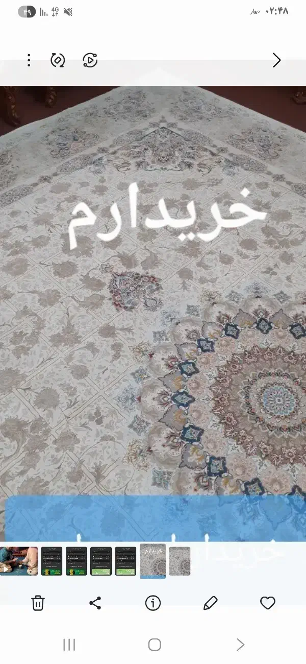 فرش ۱۲ متری کرم|فرش|قم, بکایی|دیوار