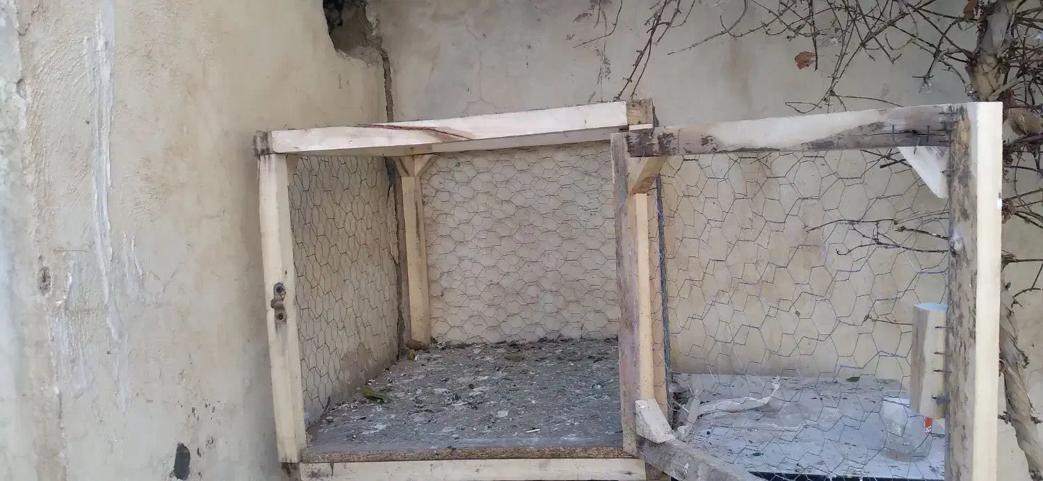 تور یا همون قفس|لوازم جانبی حیوانات|تاکستان, |دیوار