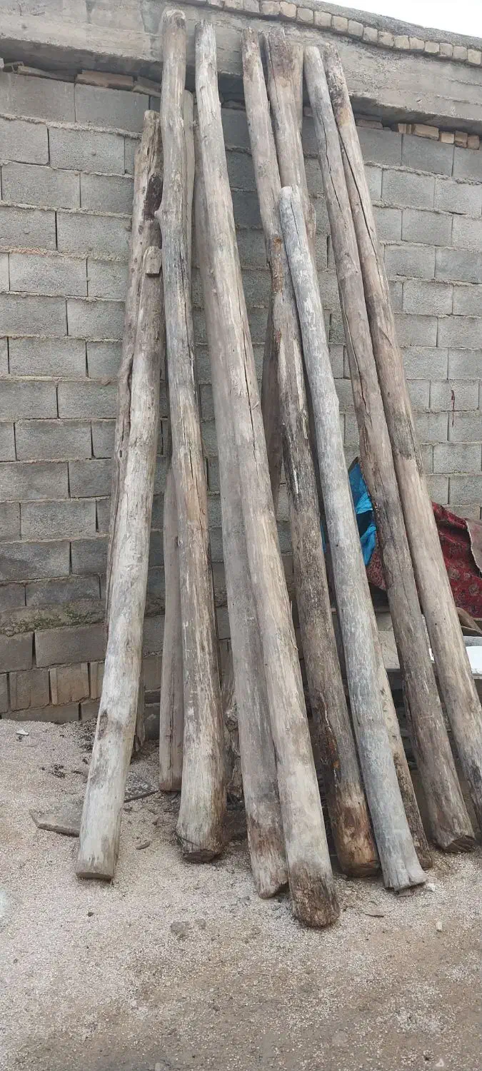 چوب|مصالح و تجهیزات ساختمان|لردگان, |دیوار