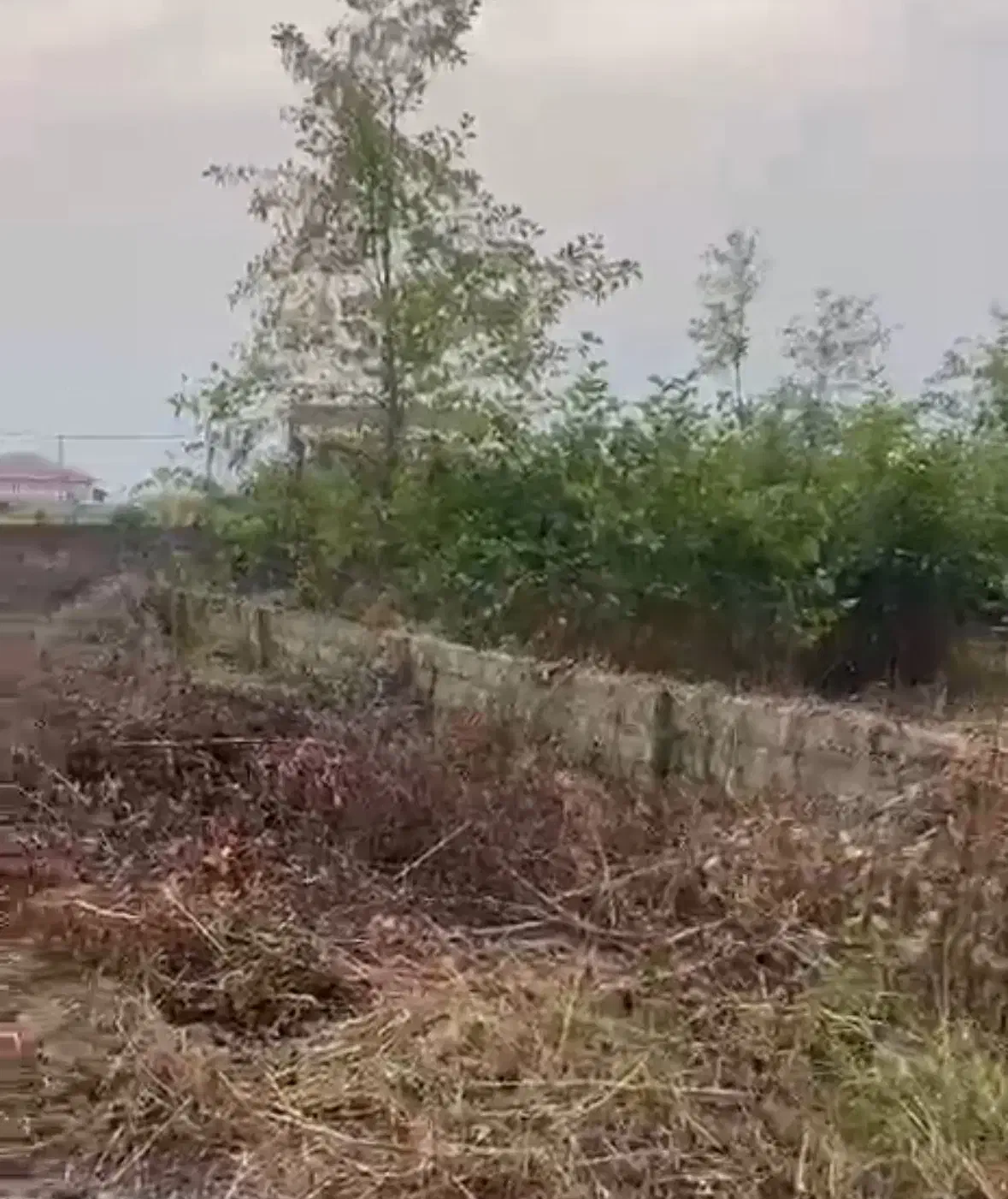 زمین کرکاس|فروش زمین و ملک کلنگی|عباس‌آباد, |دیوار