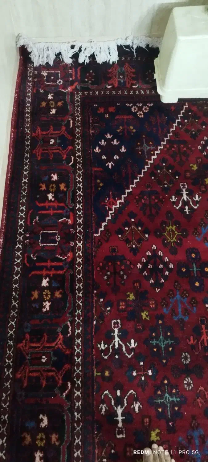 فرش جوشقان کاشان|فرش|قم, شهر قائم|دیوار