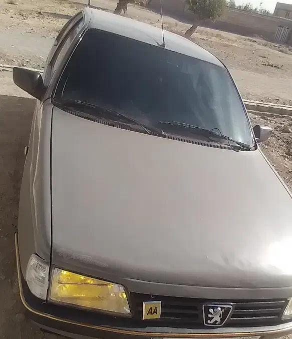 پژو آر دی|خودرو سواری و وانت|تربتحیدریه, پارک کاشانی|دیوار