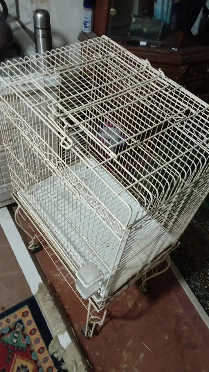 قفس ژاپنی|لوازم جانبی حیوانات|مشهد, سراب|دیوار