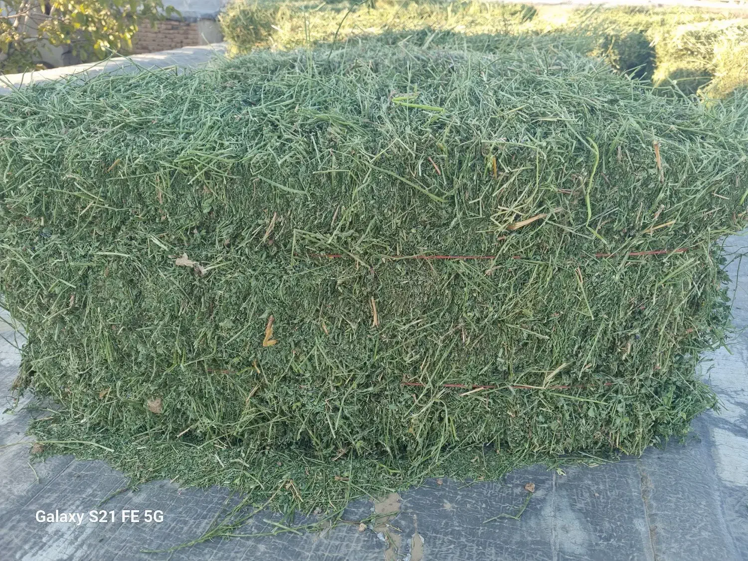 پرس یونجه چین چهار پرگل.وبیست عدد پرس شبدر چین دو|لوازم جانبی حیوانات|بروجرد, |دیوار