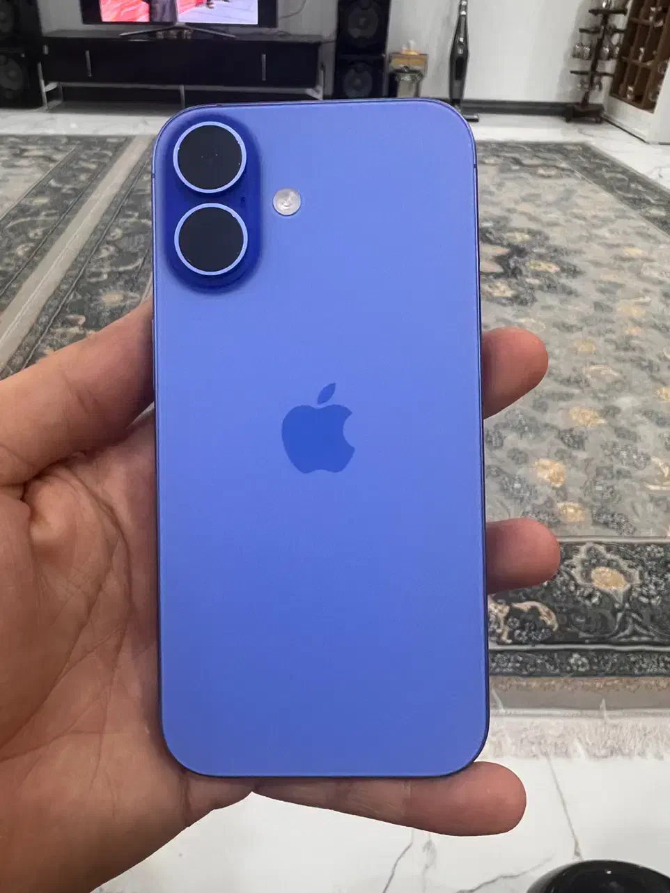 آیفون ۱۶نرمال|موبایل|مشهد, امیریه|دیوار