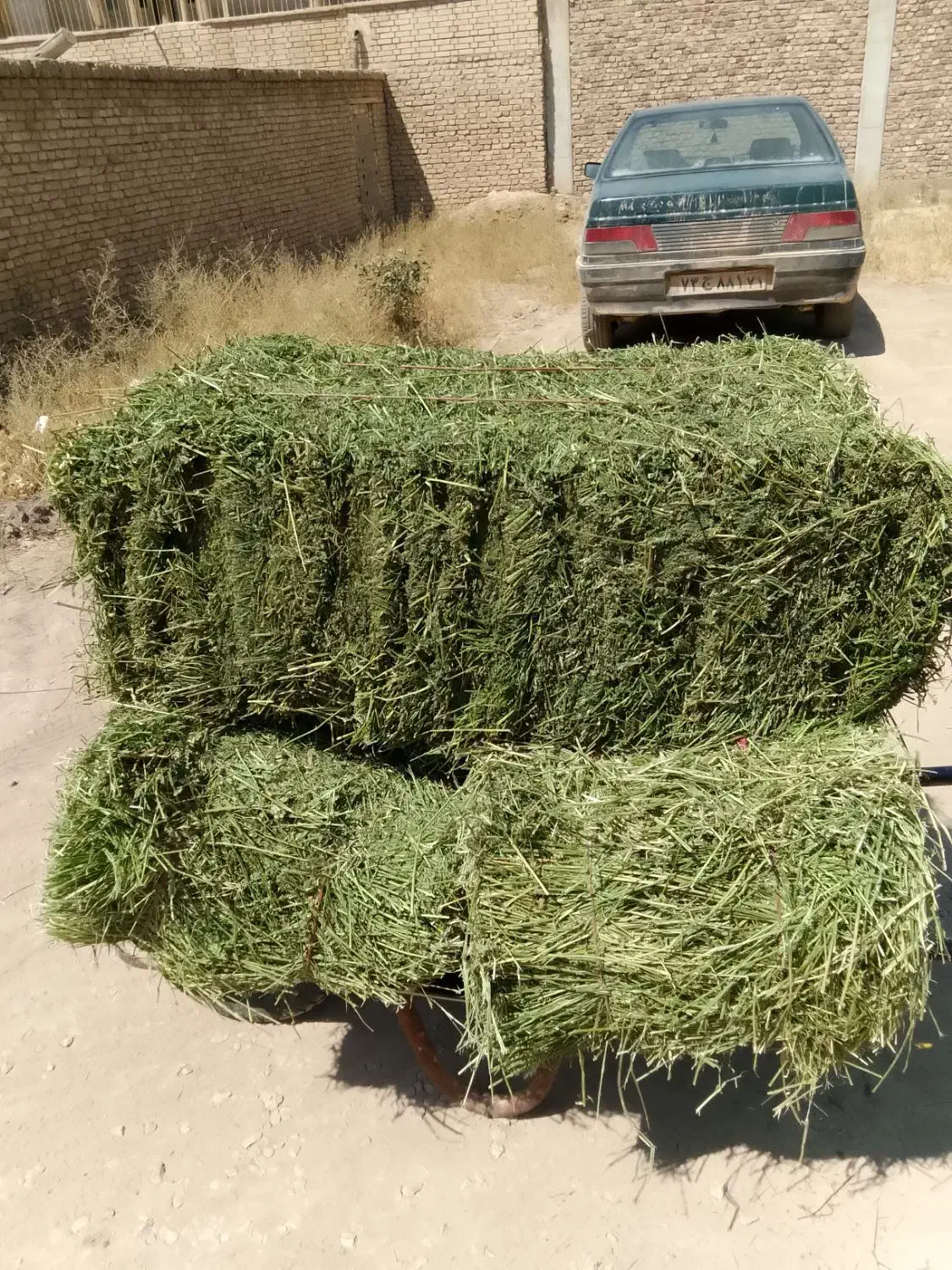 پرس یونجه|لوازم جانبی حیوانات|شهرکرد, |دیوار