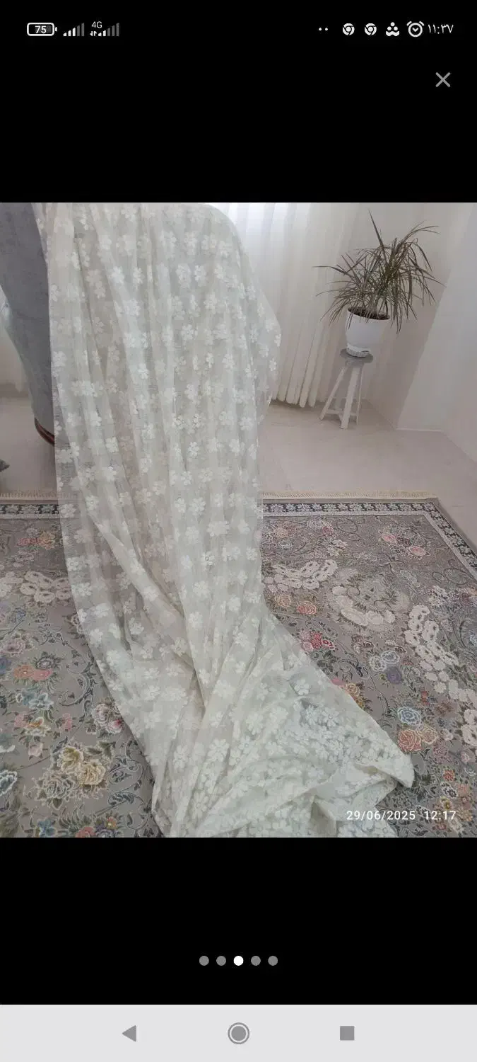 پرده|کالسکه و لوازم جانبی|سبزوار, ولیعصر (نجار آباد)|دیوار