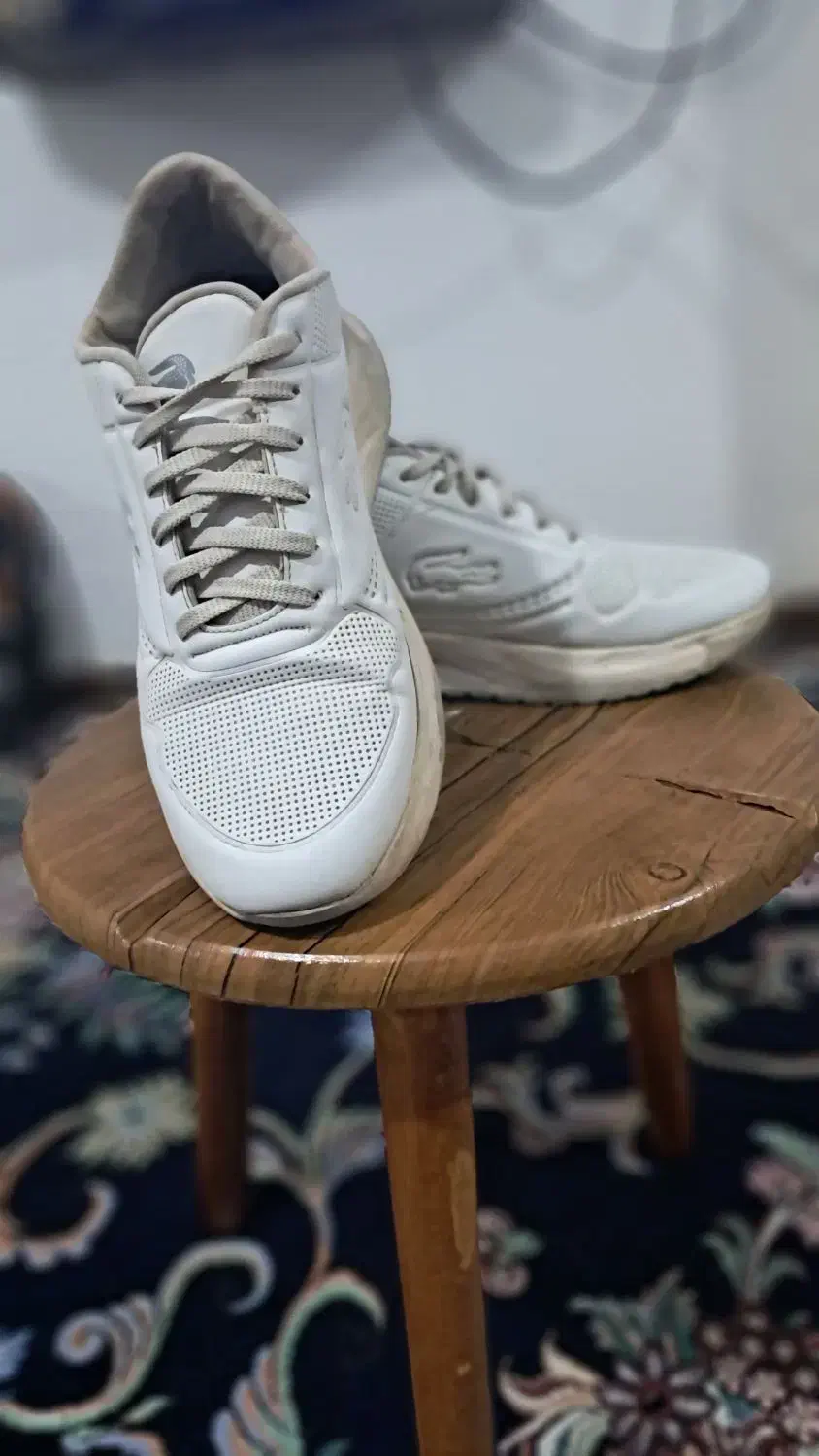 کتونی سفید|کیف، کفش، کمربند|املش, |دیوار