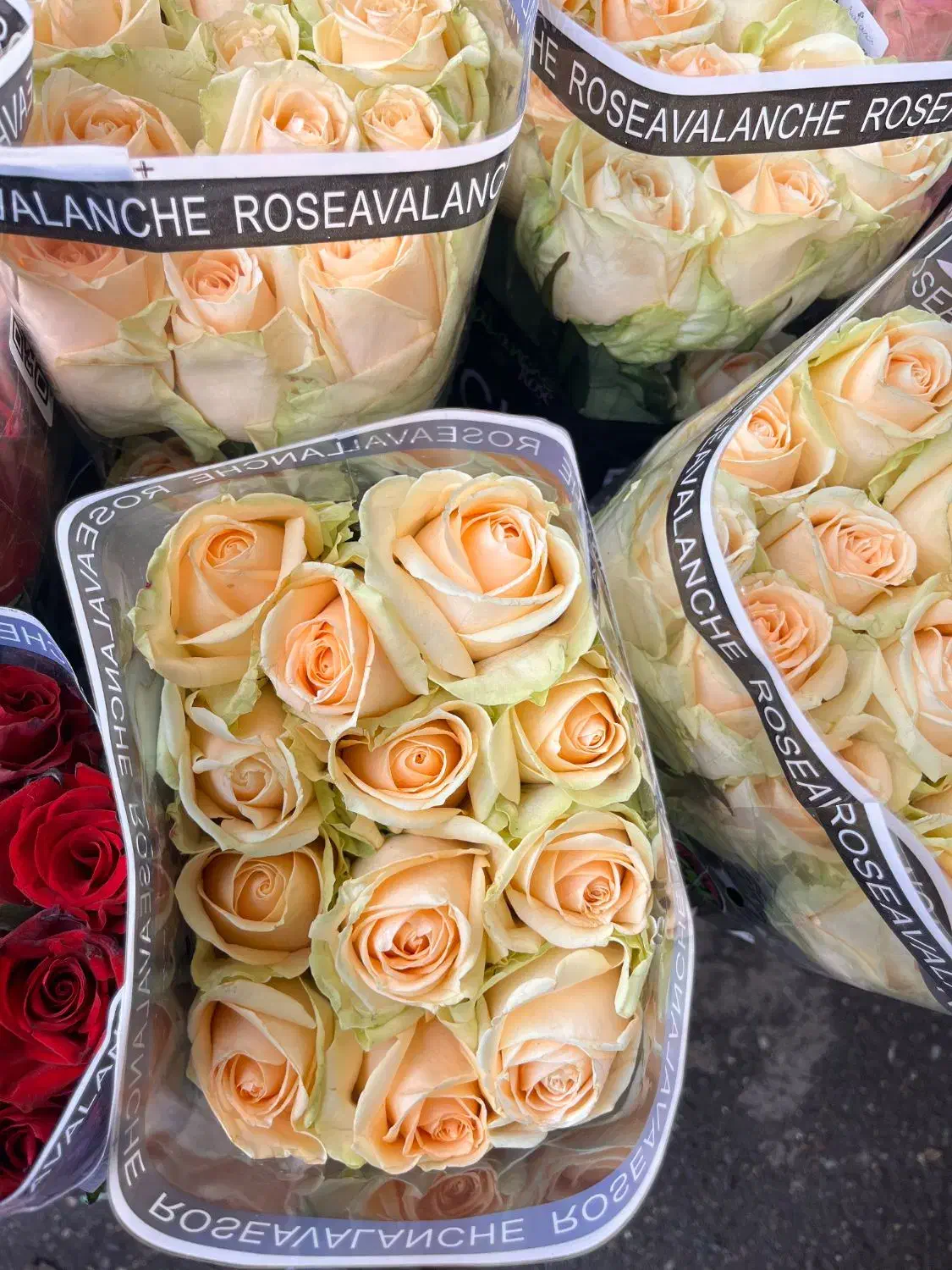 استخدام ادمین اینستاگرام/ورامین|استخدام رایانه و فناوری اطلاعات|ورامین, ورامین|دیوار