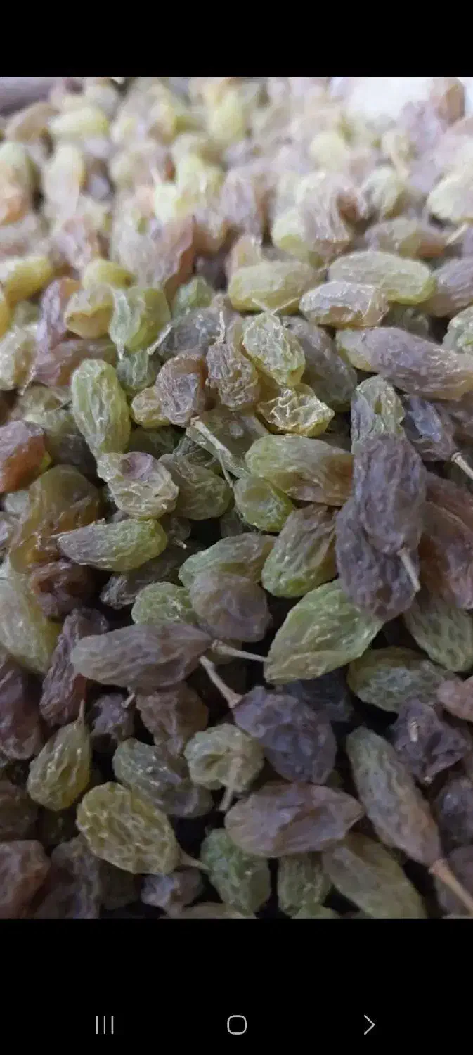 کشمش سبز وکشمش پلویی|خوردنی و آشامیدنی|اندیشه, اندیشه فاز ۳|دیوار