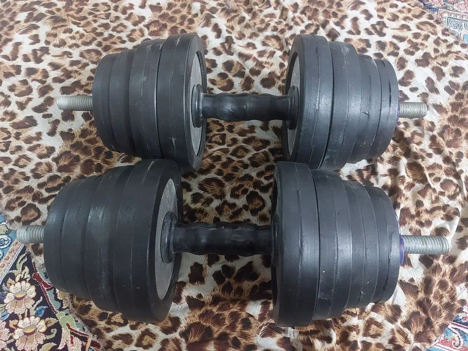 یک جفت دمبل رکورد|تجهیزات ورزشی|ری, فیروزآباد|دیوار