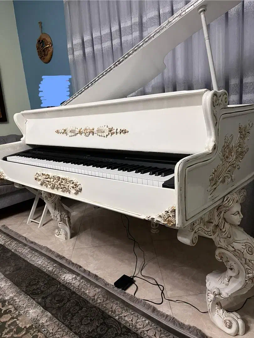 اجاره پیانو گرند با نوازنده پیانو وخواننده|خدمات پذیرایی، مراسم|تهران, بهجتآباد|دیوار