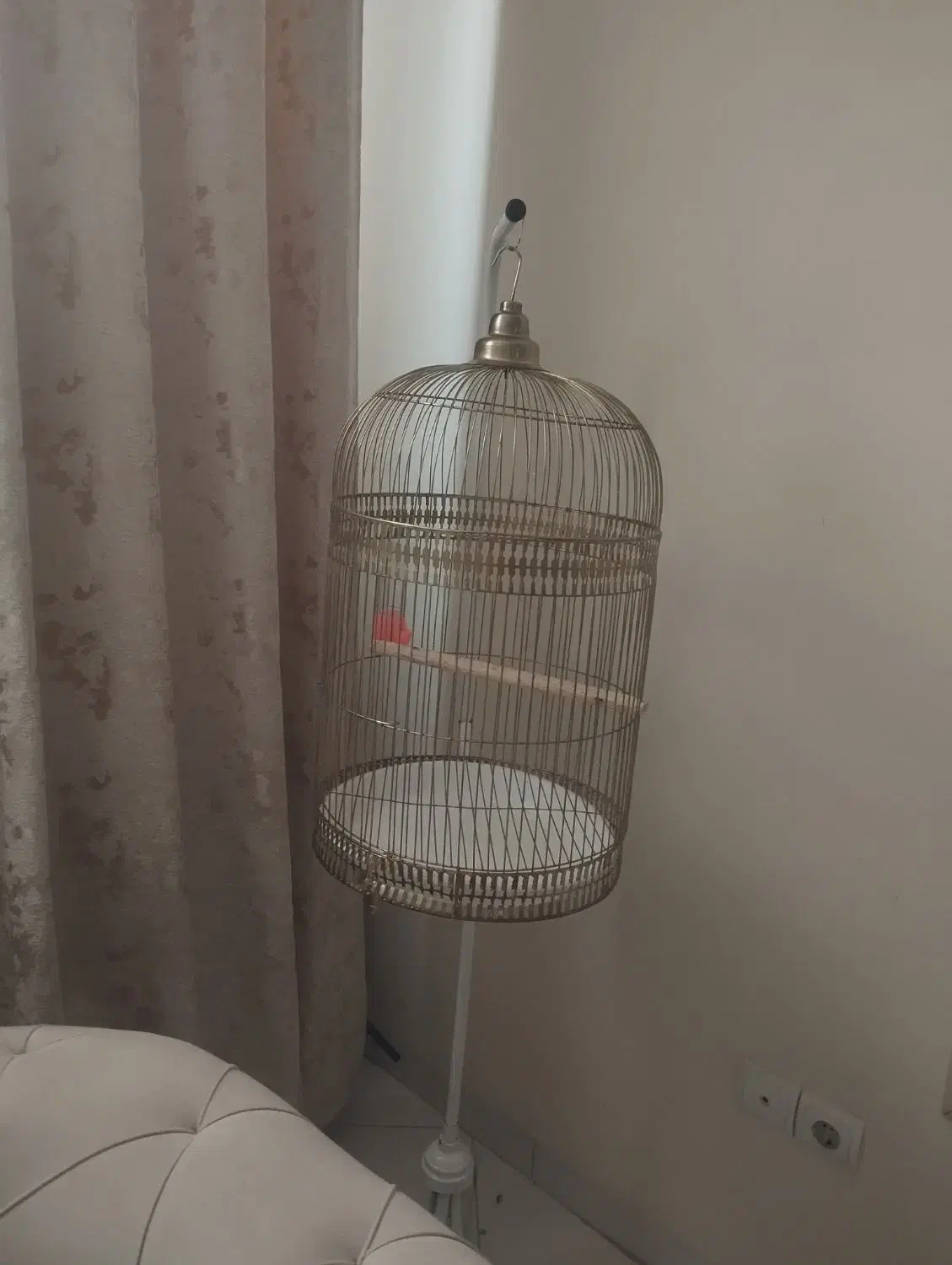 قفس پرنده|لوازم جانبی حیوانات|مشهد, کوشش|دیوار