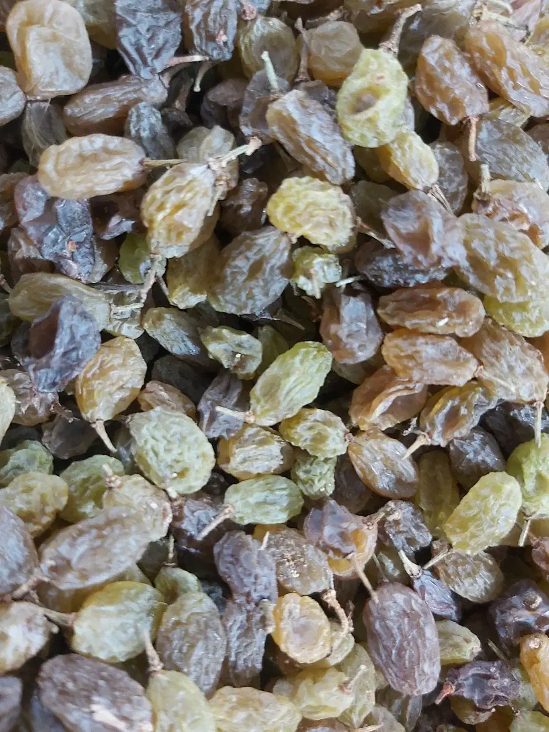 کشمش سایه خشک ارگانیک|خوردنی و آشامیدنی|ملایر, |دیوار