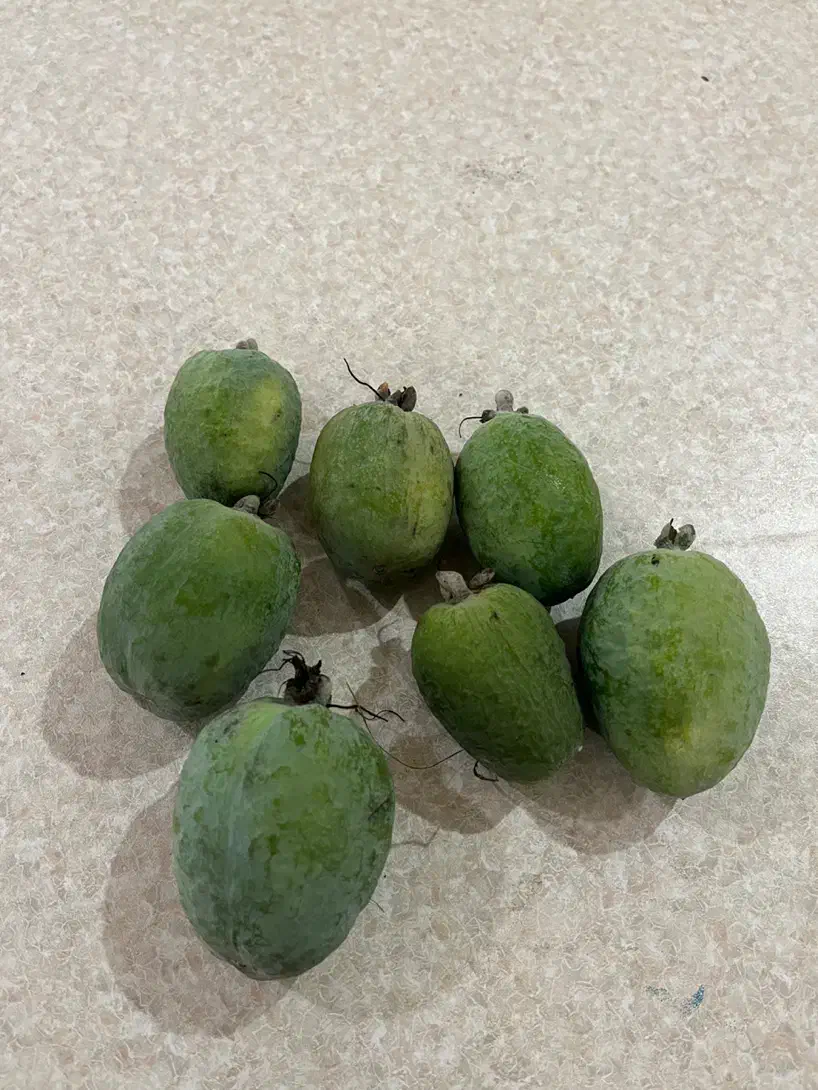 فوجی ارگانیک|عمده‌فروشی|لیسار, |دیوار