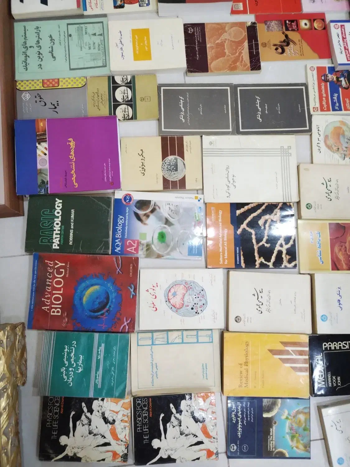 کتابهای تخصصی علوم ازمایشگاهی  و|کتاب و مجله آموزشی|شیراز, ستارخان|دیوار