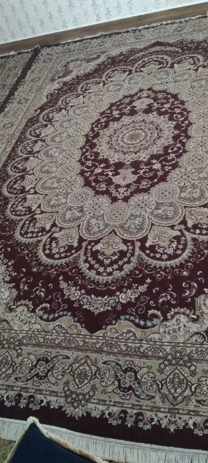 سلام ۴ عدد فرش تمیز|فرش|یاسوج, |دیوار