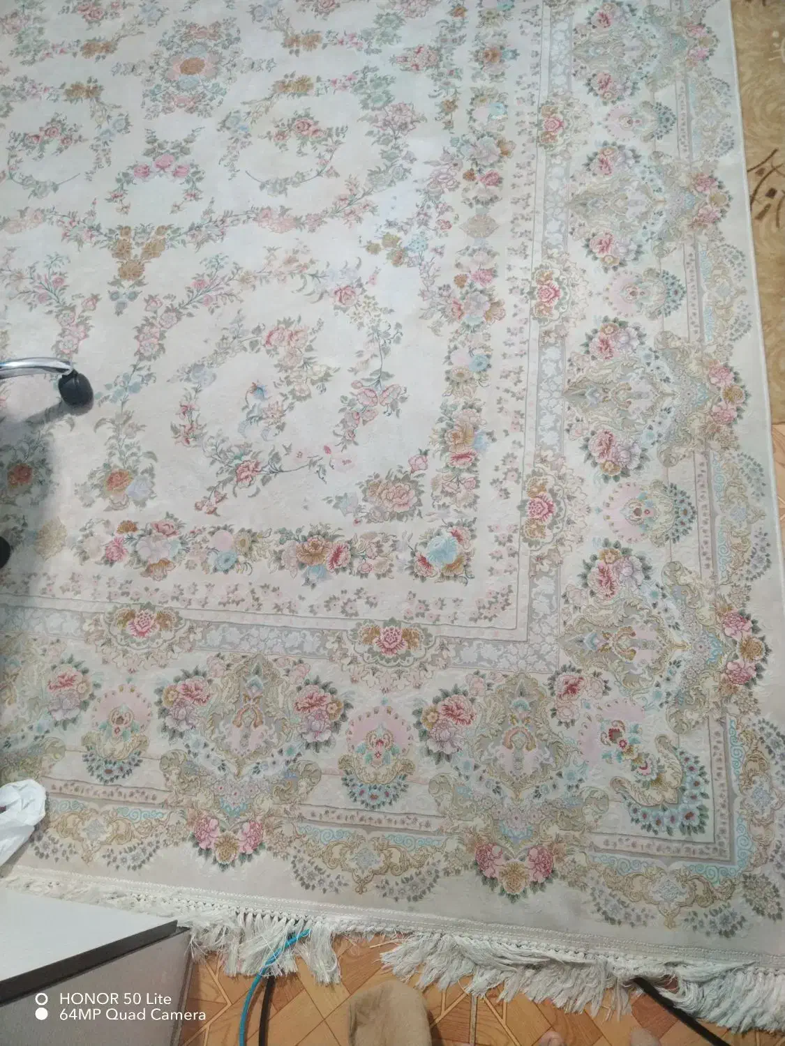 فرش9متری|فرش|بندرعباس, |دیوار