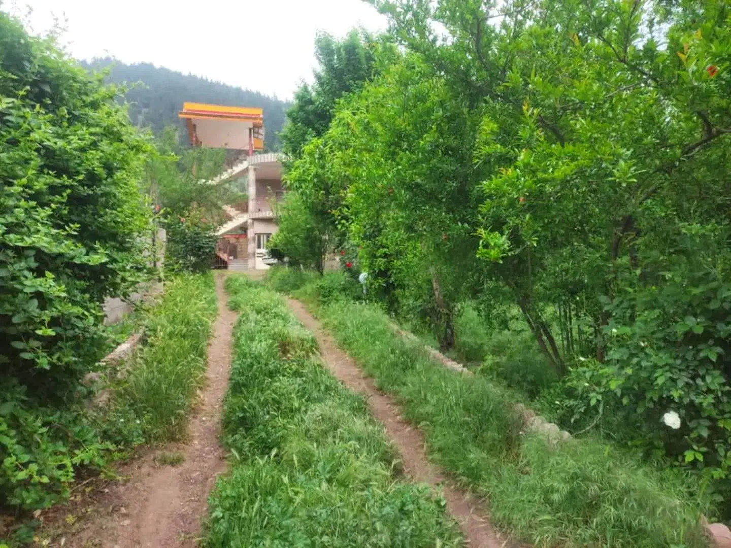 در منطقه ای زیبا|اجارهٔ کوتاه‌مدت ویلا و باغ|رودبار, |دیوار