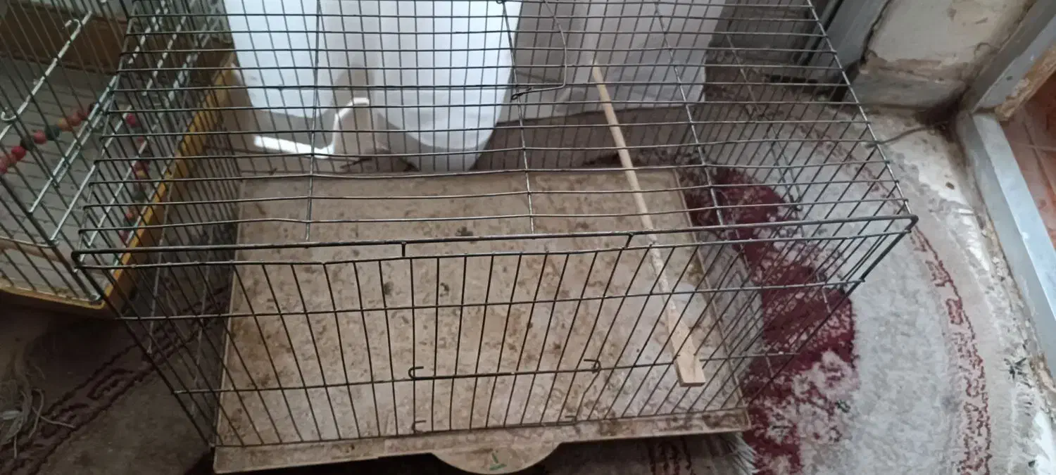 قفس|لوازم جانبی حیوانات|اصفهان, گلزار|دیوار