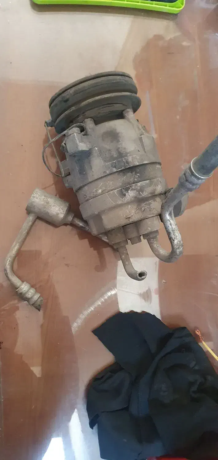 کاور نو|کیف، کفش، کمربند|اردبیل, |دیوار