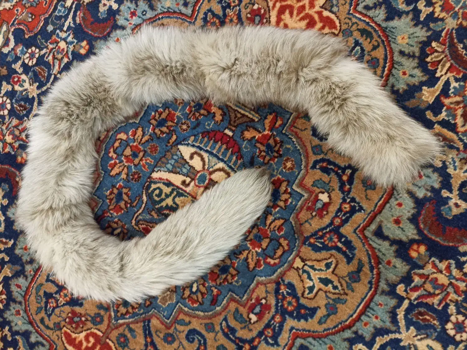 شال گردنی اصیل زنانه|لباس|تهران, نیلوفر|دیوار