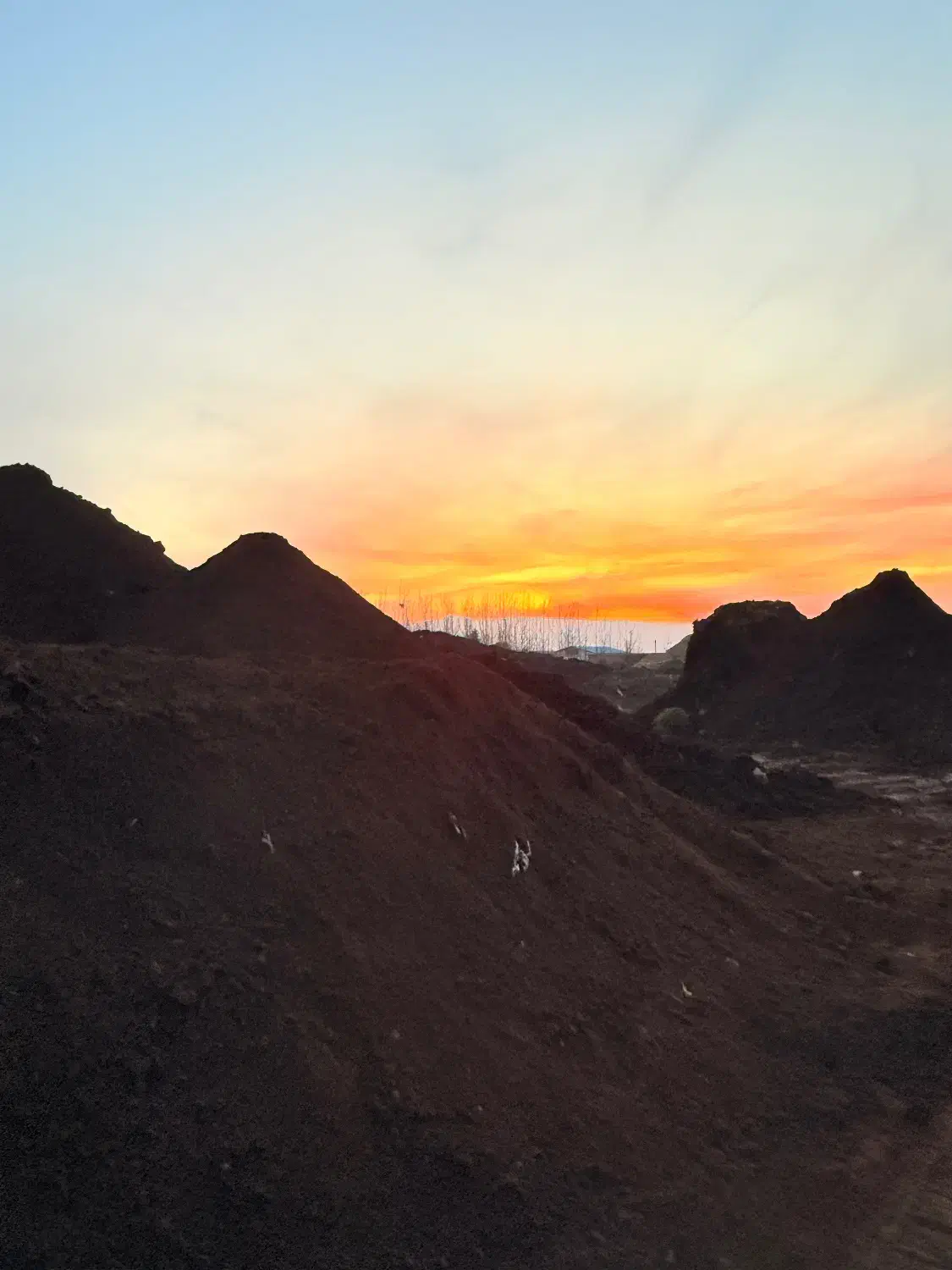 کمپوست گیاهی / خاک نشا / خاک گل و گیاه / بستر کشت|خدمات باغبانی و درختکاری|بندر انزلی, چهارفریضه|دیوار