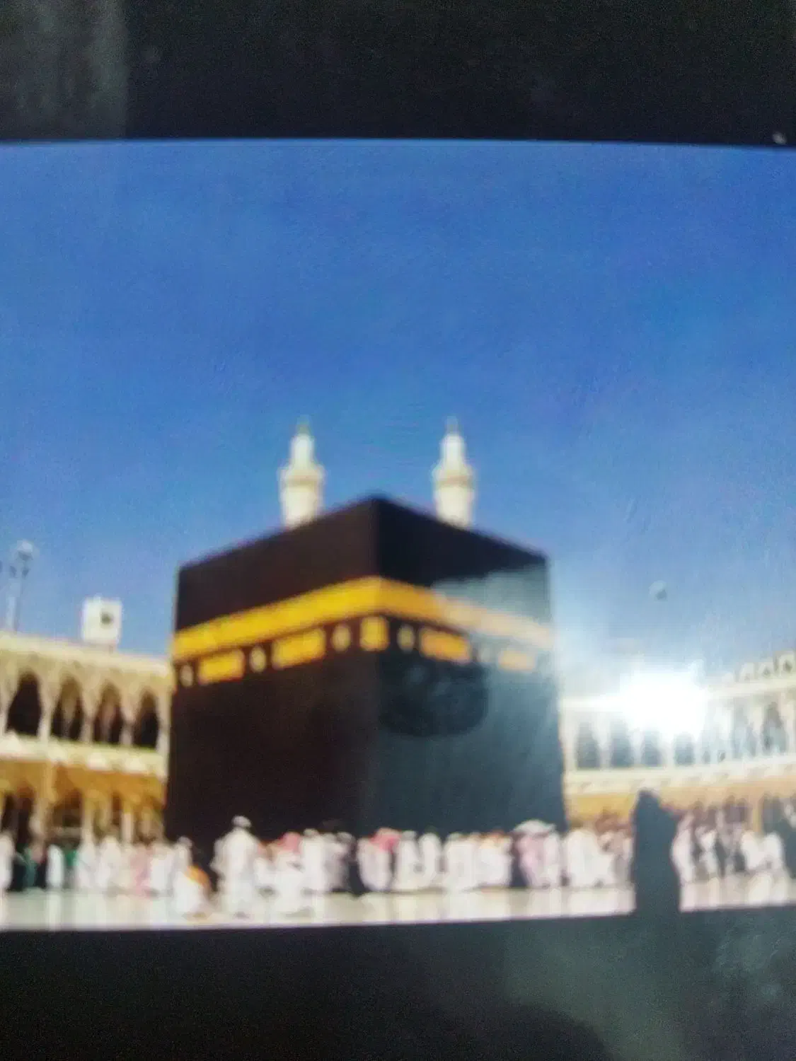 فروش فیش حج تمتع|تور و چارتر|بوشهر, |دیوار