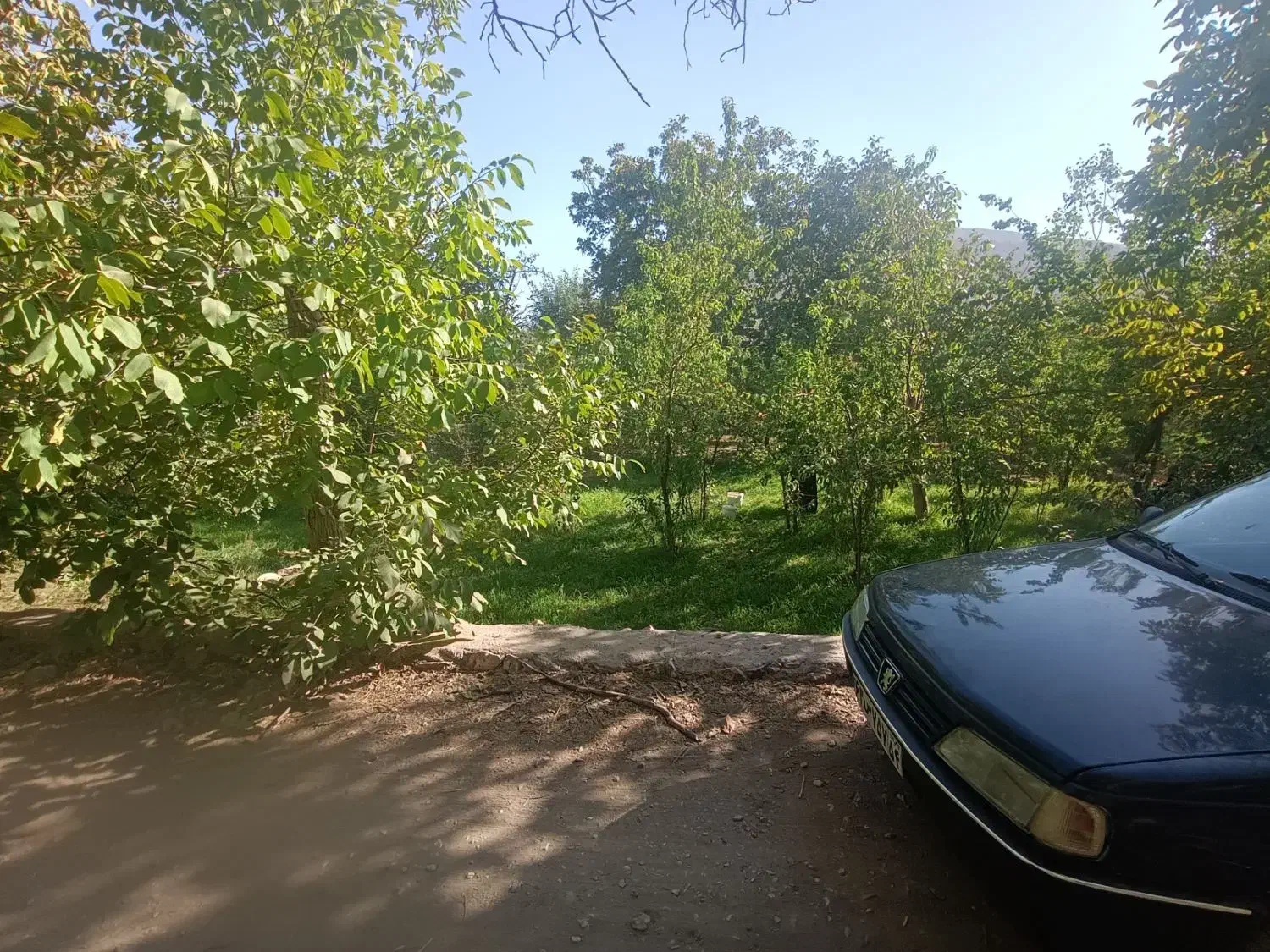 پژو آردی تمییز|خودرو سواری و وانت|یزد, |دیوار