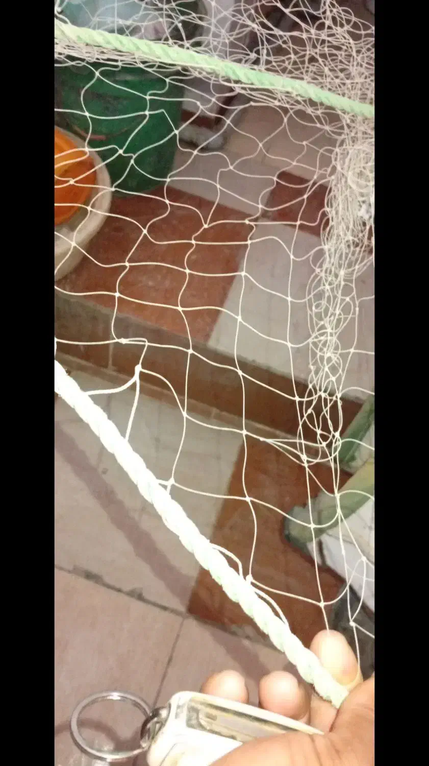 تور|ماهیگیری|هندیجان, |دیوار