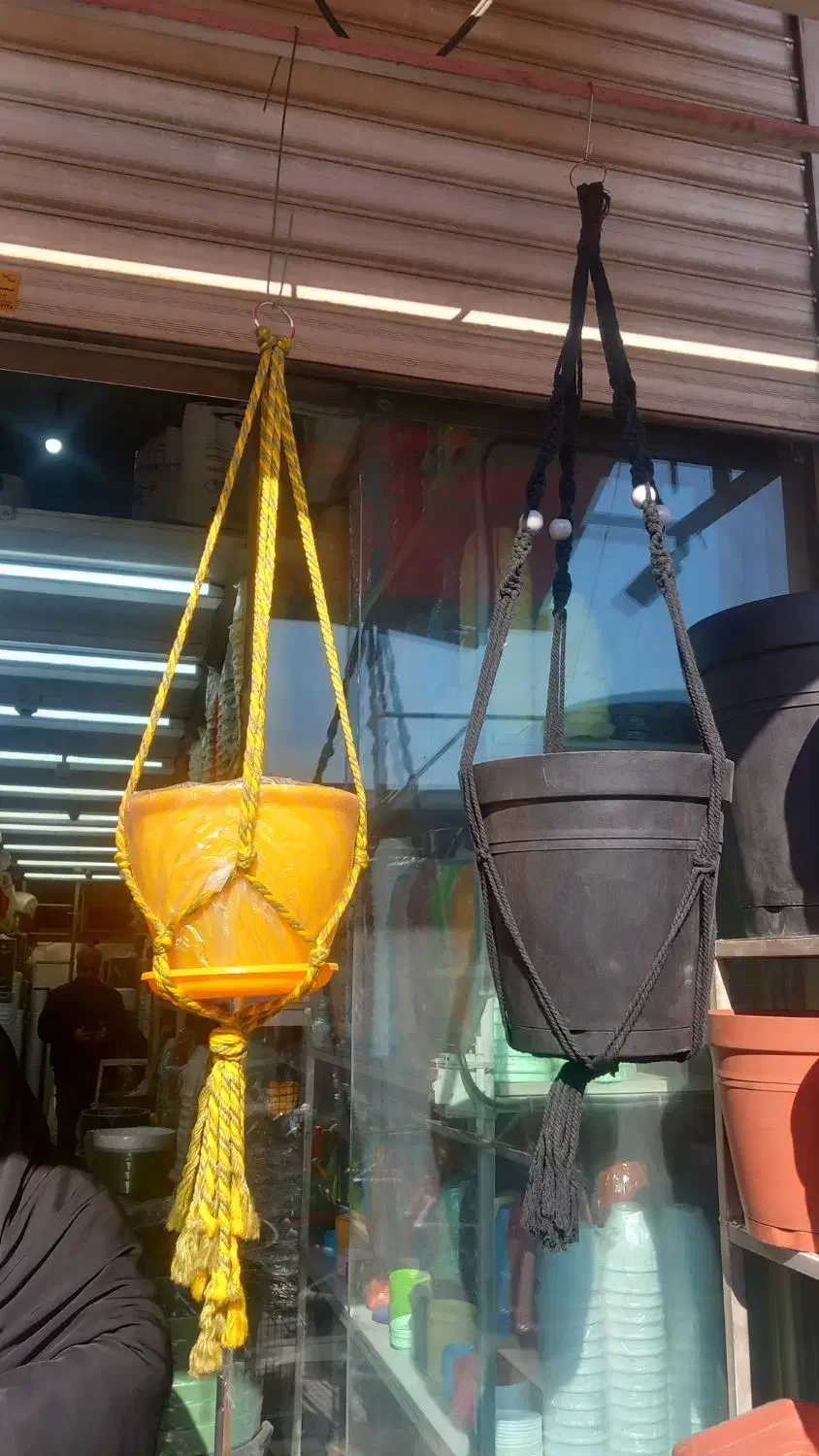 گل گیاه طبیعی|گل و گیاه طبیعی|ورامین, ورامین|دیوار