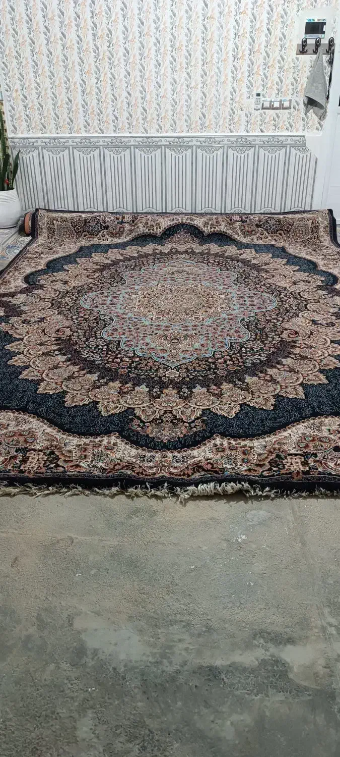 فرش|فرش|سرپل ذهاب, |دیوار