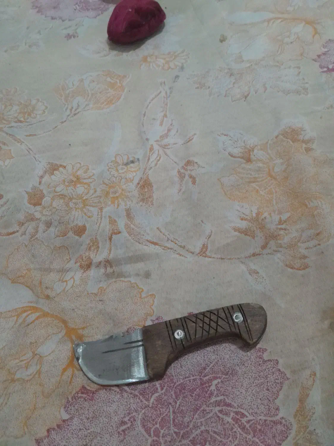 چاقو کپوری|کوهنوردی و کمپینگ|مسجد سلیمان, |دیوار