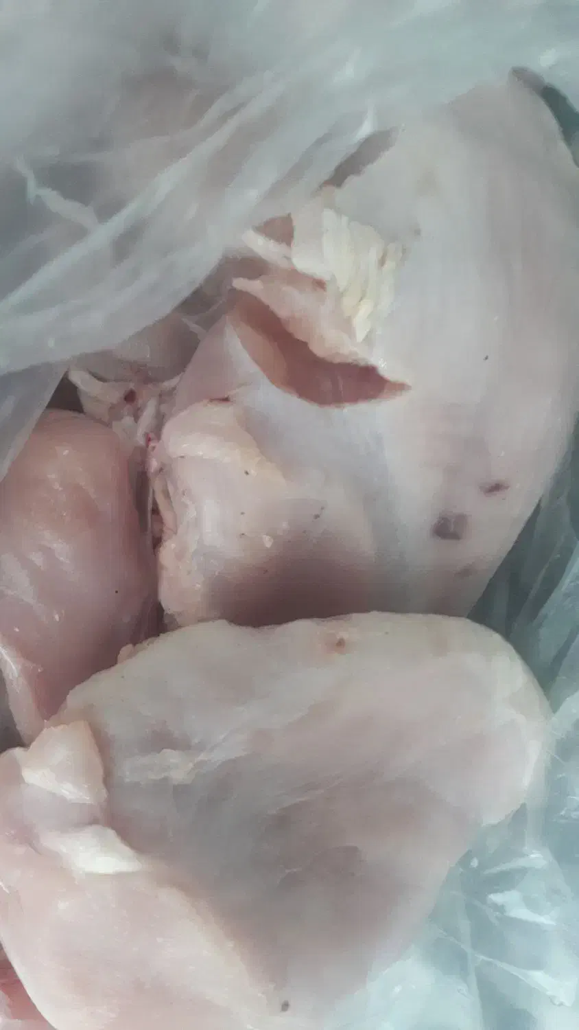 گوشت بوقلمون وبلدرچین|خوردنی و آشامیدنی|شاهرود, |دیوار