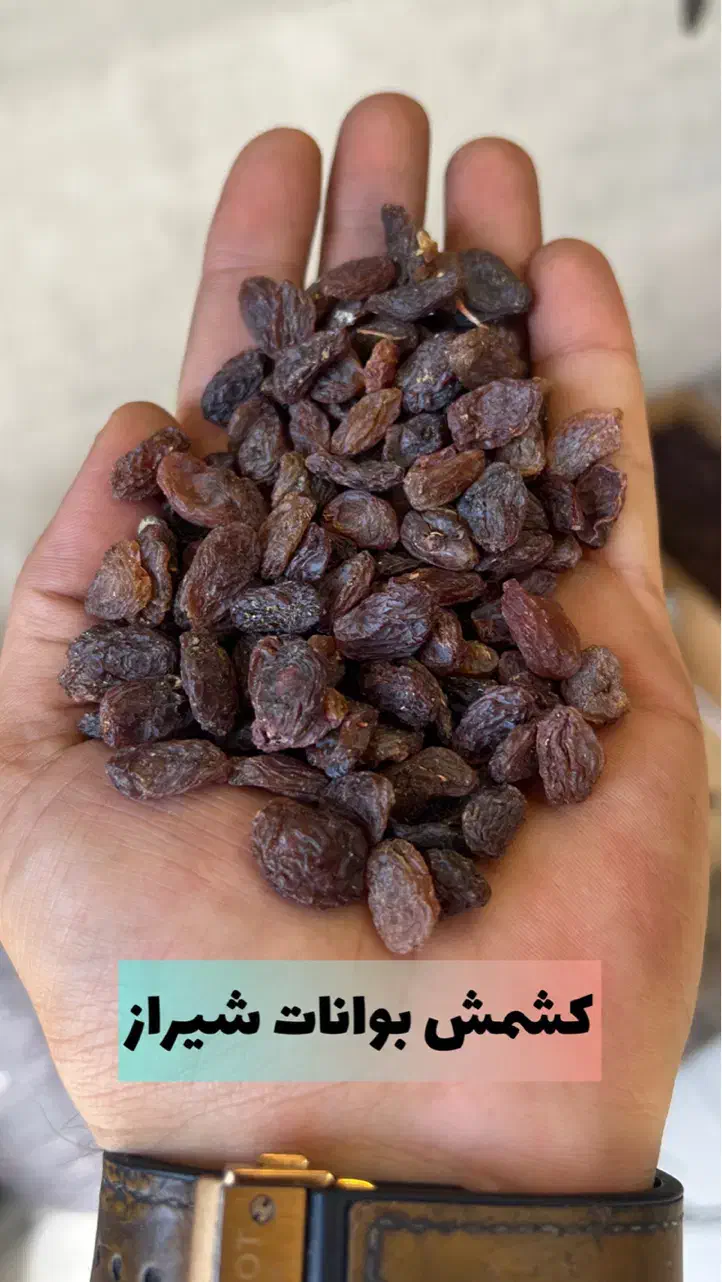 کشمش /مویز /شیره انگور|خوردنی و آشامیدنی|تهران, مولوی|دیوار