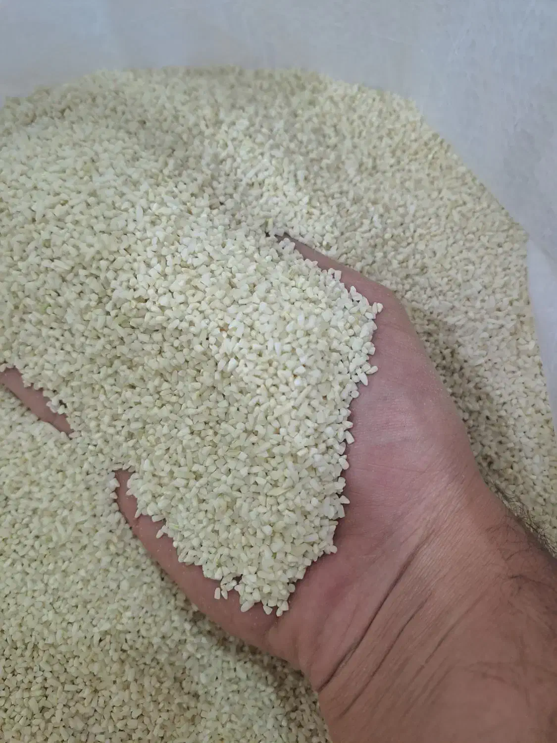 برنج نیمدانه ریز و لاشه معطر ممان میانه|خوردنی و آشامیدنی|زنجان, |دیوار