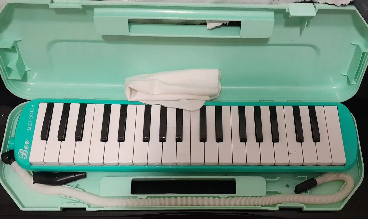 ملودیکا|سازهای بادی|فردیس, شهرک ناز|دیوار