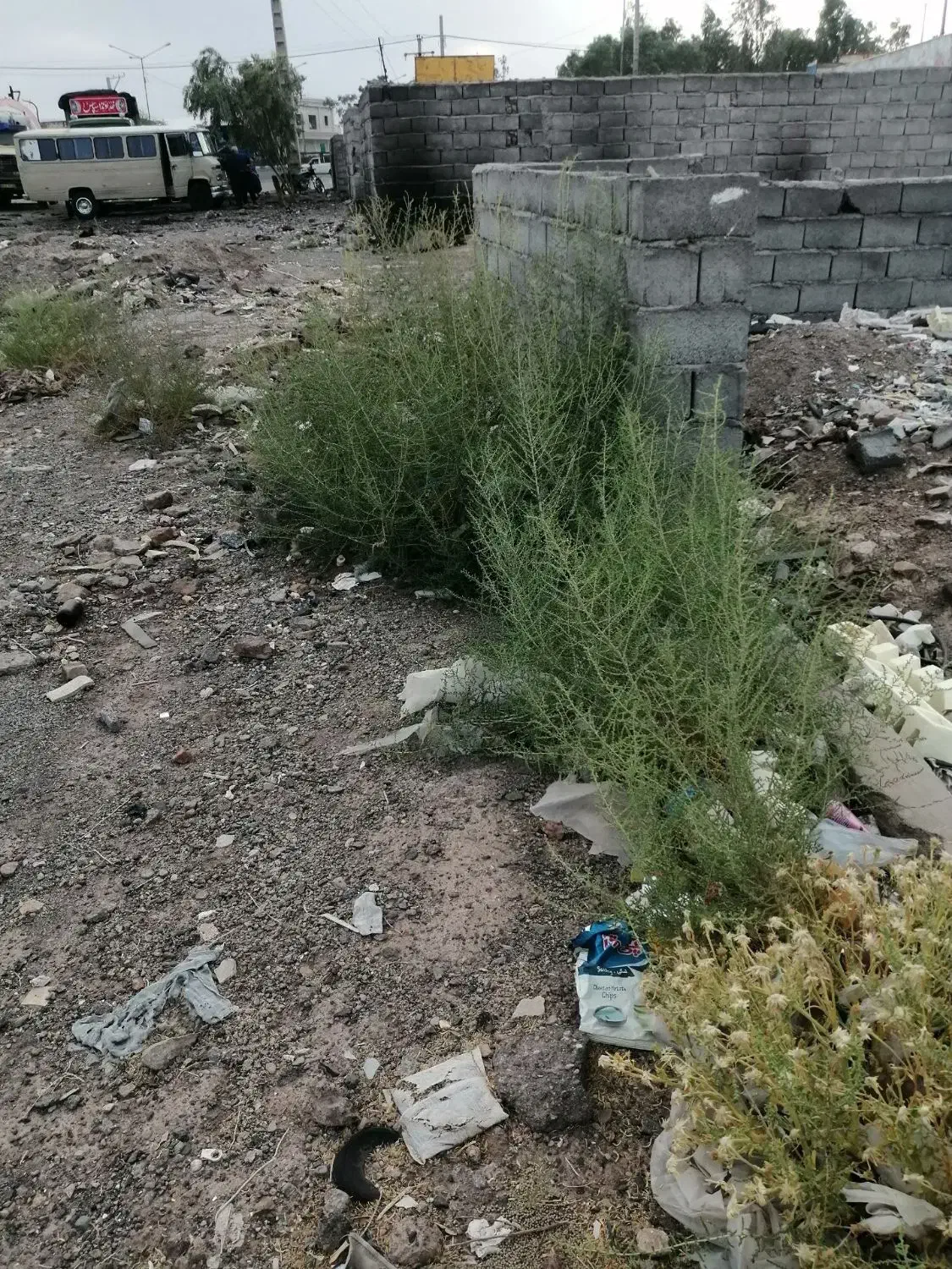 ...|فروش زمین و ملک کلنگی|بم, |دیوار